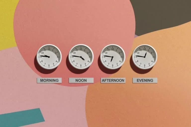 Menggali Produktivitas Maksimal Lewat Chronotype